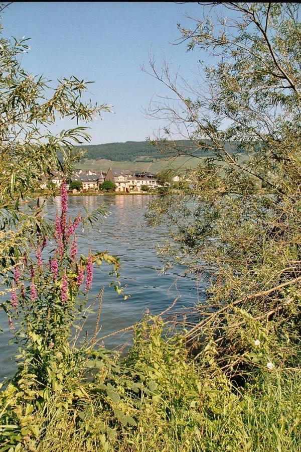 Alt Reinsport Hotel Piesport Exterior photo